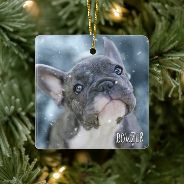 Ornement En Céramique Personalized Best Dog or Puppy Picture Name Photo (Arbre)