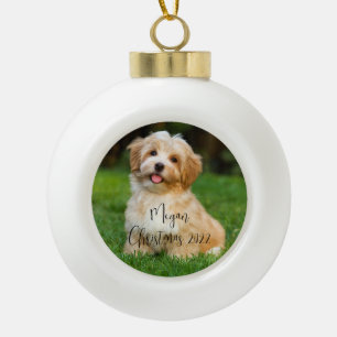 Ornement en céramique personnalisé pour chien avec