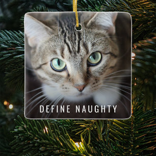 Ornement En Céramique Pet Définir Naughty   Arbre de Noël photo