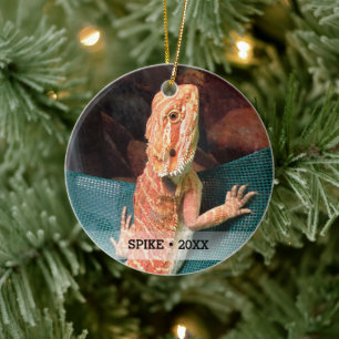 Ornement En Céramique Pet Lizard Photo Arbre de Noël Personnalisé