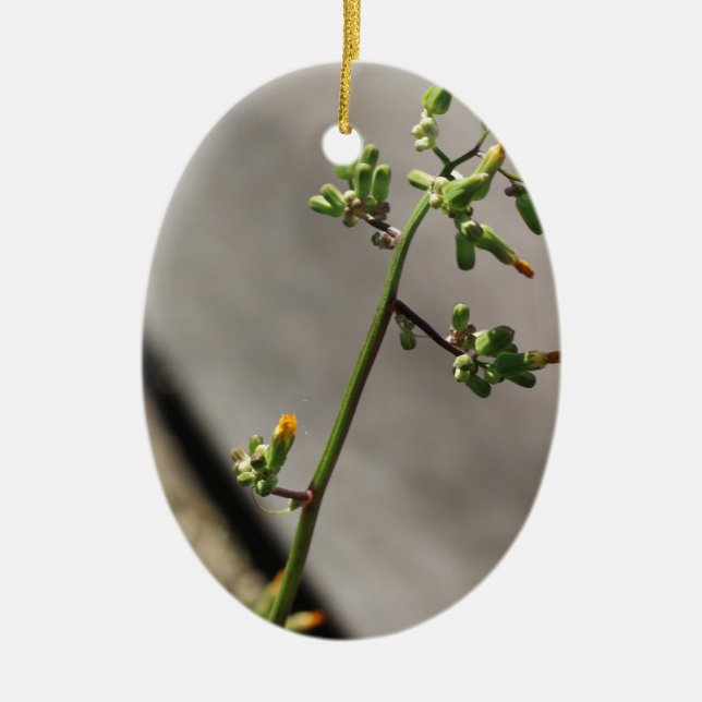Ornement En Céramique Petit Bug, Petite Fleur (Devant)