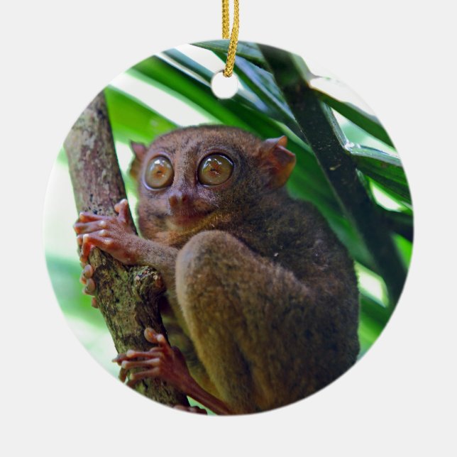 Ornement En Céramique Petit tarsier philippin (Devant)