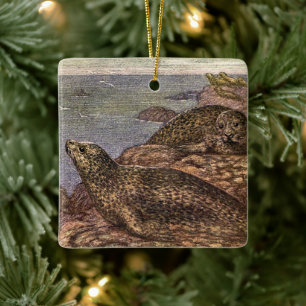 Ornement En Céramique Phoques, Animaux Marins de la Vie Océanique Ancien