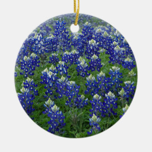 Ornement En Céramique Photo de champ de Bluebonnets de Texas