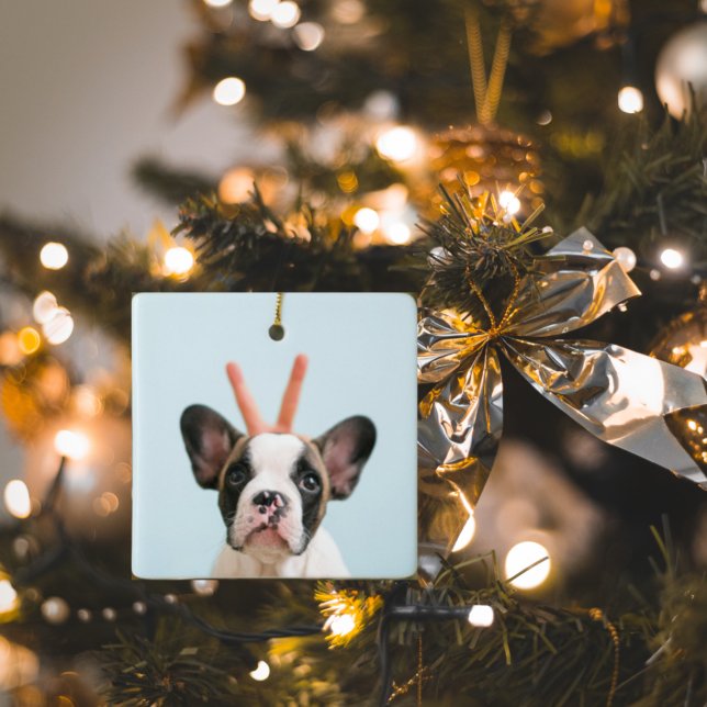 Ornement En Céramique Photo de chien moderne | Joyeux Noël (Créateur téléchargé)