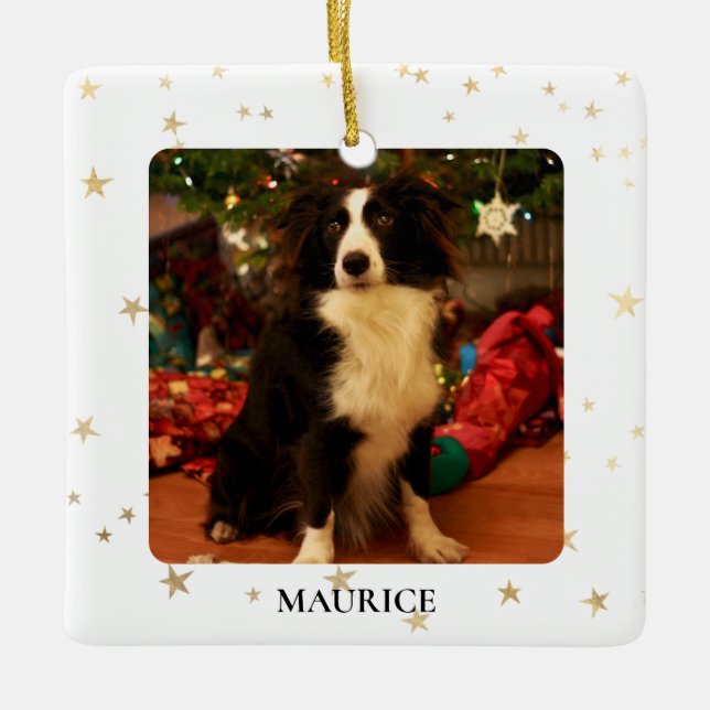 Ornement En Céramique Photo de chien personnalisée (Devant)