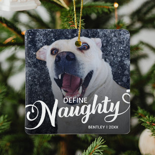 Ornement En Céramique Photo de chien vilain Noël drôle