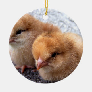 Ornement En Céramique photo de deux de Rhode Island poussins de rouge