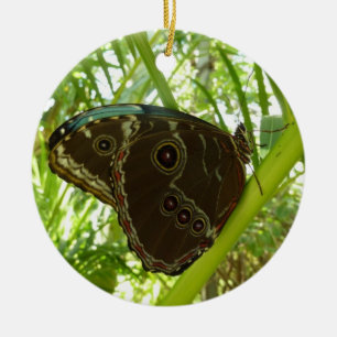 Ornement En Céramique Photo de la nature du papillon bleu Morpho