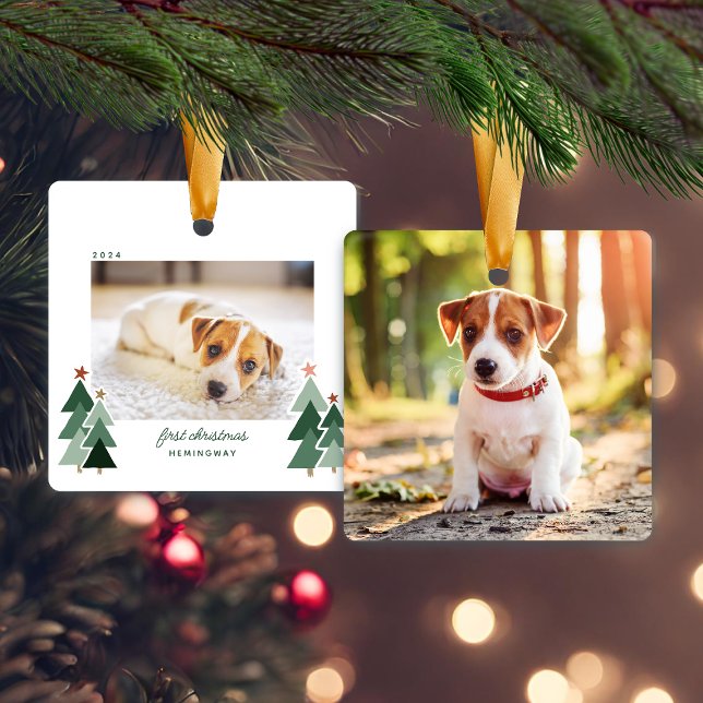 Ornement En Céramique Photo de Noël du Chien Chien Chien Chien Chien Chi (Puppy Dog's First Christmas Rustic Trees Photo Ceramic Ornament)
