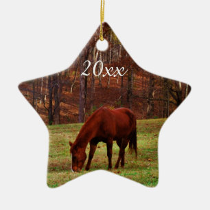 Ornement En Céramique Photo de Noël personnalisé d'animal de compagnie o