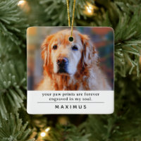 Photo et citation mémorial pour chien moderne