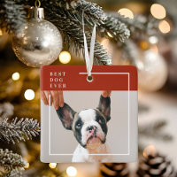 Photo « Meilleur chien ever » en terre cuite moder