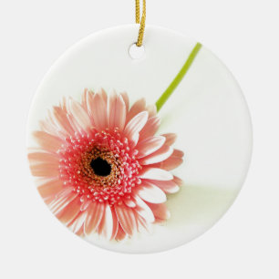 Ornement En Céramique Photographie de gerbera rose frais
