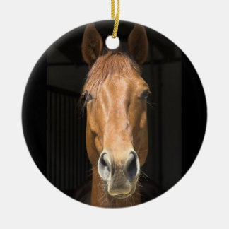 Ornement En Céramique Photographie de visage de cheval