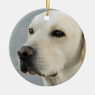 Ornement En Céramique Photographie d'or de labrador retriever