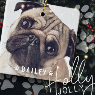 Ornement En Céramique Photos d'animaux de compagnie sur les pattes de ch