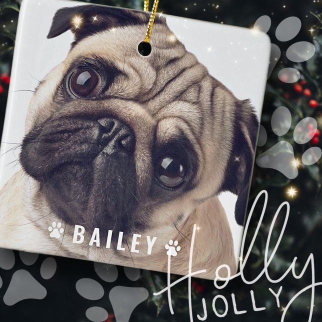 Ornement En Céramique Photos d'animaux de compagnie sur les pattes de ch (Créateur téléchargé)