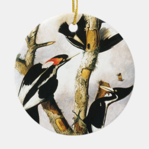 Ornement En Céramique Pic à bec ivoire (Joseph Bartholomew Kidd)