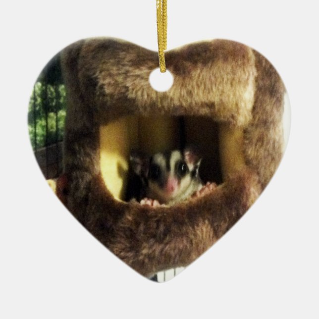 Ornement En Céramique Planeur à sucre dans le fourrure Truck Hanging Lit (Devant)