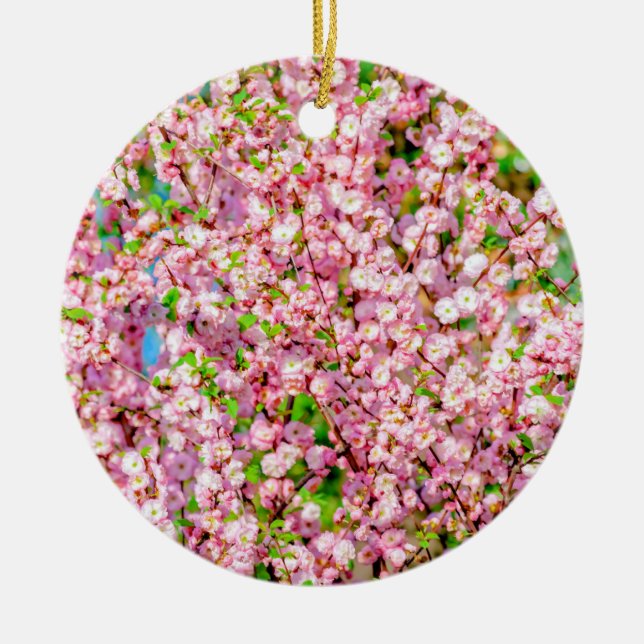 Ornement En Céramique Plum à fleurs (Devant)