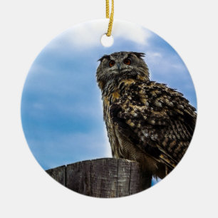 Ornement En Céramique Plumes de l'oiseau hibou Animal Nature Destin Paix