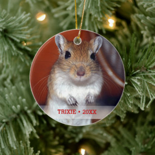 Ornement En Céramique Poète personnalisé Gerbil Nom photo Arbre de Noël