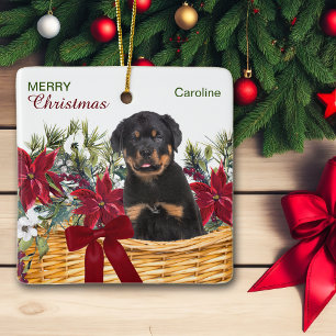 Ornement En Céramique Poinsettia Rottweiler Puppy Christmas Basket