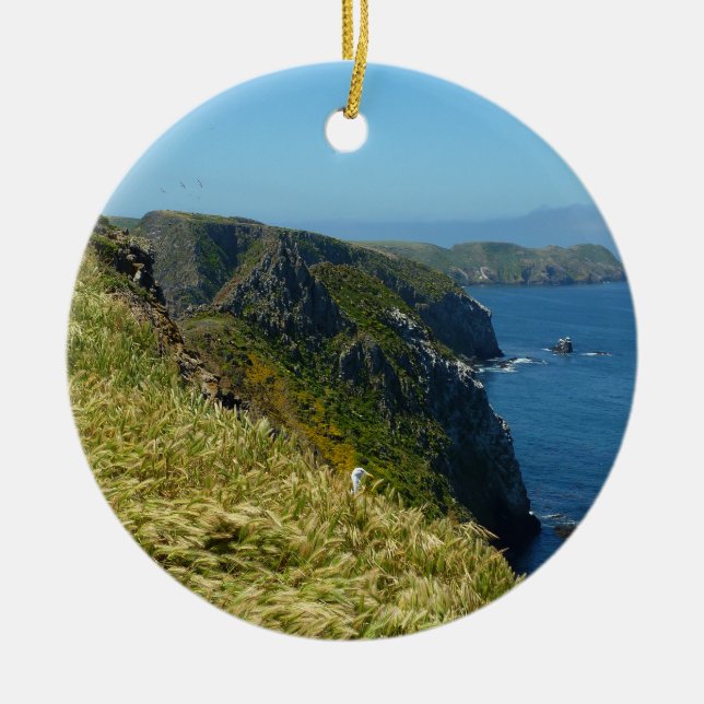 Ornement En Céramique Point d'inspiration II d'Anacapa aux îles Anglo-No (Devant)