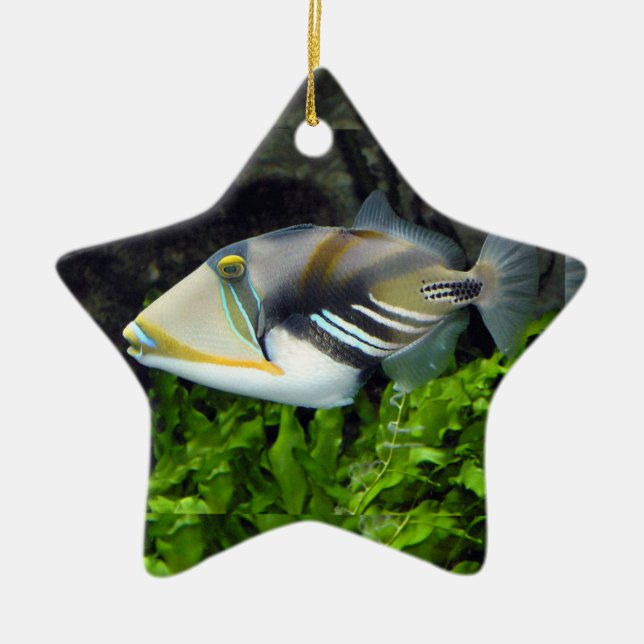 Ornement En Céramique Poisson de mer profond (Devant)