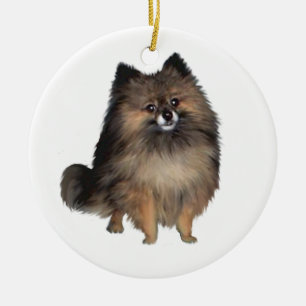 Ornement En Céramique Pomeranian - bringé