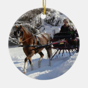 Ornement En Céramique Poney de gallois et société d'épi d'ornement de
