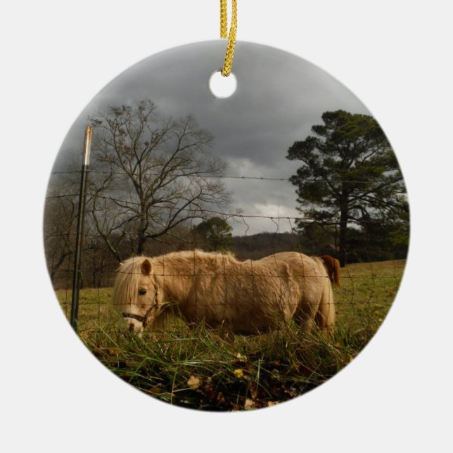 Ornement En Céramique Poney miniature blond / Cheval (Devant)