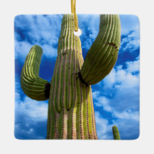 Ornement En Céramique Portrait de cactus du Saguaro, Arizona