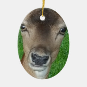 Ornement En Céramique Portrait de photographe Wildlife