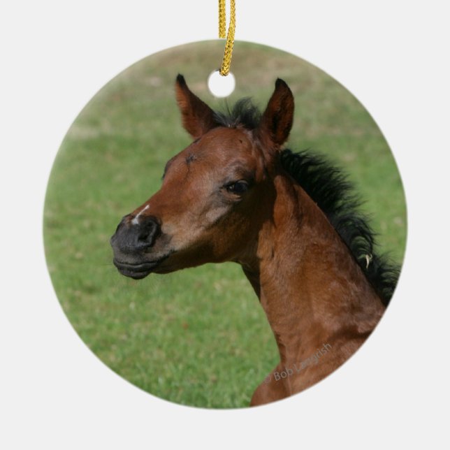 Ornement En Céramique Poulain arabe se reposant (Devant)