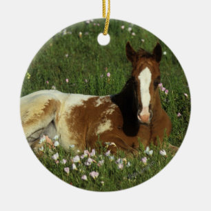 Ornement En Céramique Poulain d'Appaloosa fixant en fleurs