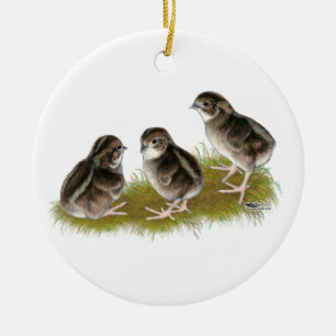 Ornement En Céramique Poussins de caille Coturnix