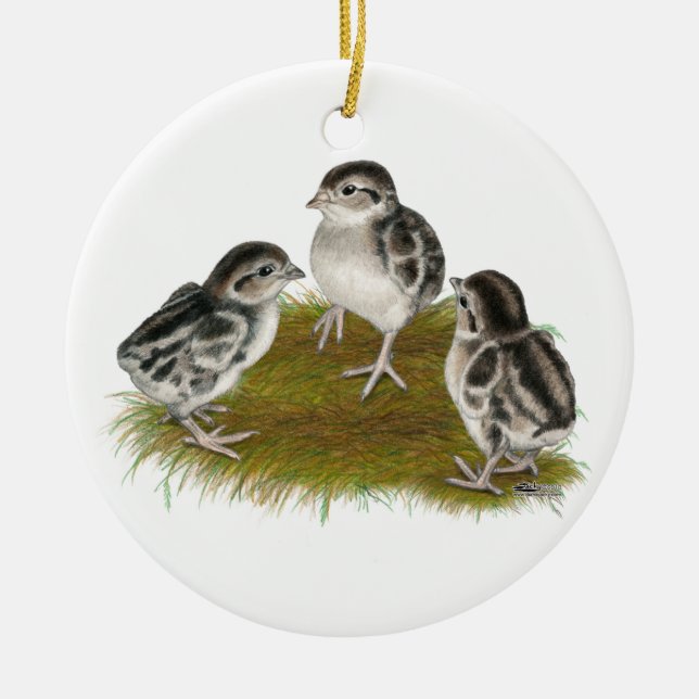 Ornement En Céramique Poussins de perdrix de Chukar (Devant)