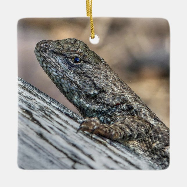 Ornement En Céramique Prairie Lizard (Devant)