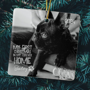 Ornement En Céramique Premier Noël pour animal de compagnie pour toujour