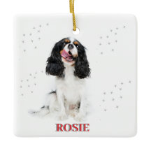 Premier Noël pour animaux de compagnie dans Foreve