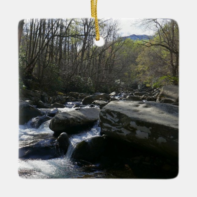 Ornement En Céramique Printemps à la rivière Little Pigeon (Devant)