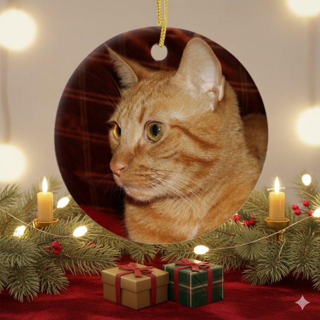 Ornement En Céramique Profil de visage de chat Tabou orange (Créateur téléchargé)