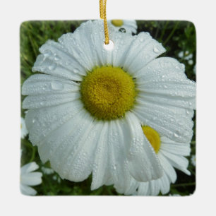 Ornement En Céramique Raindrops sur Daisy I Floral Fleur sauvage
