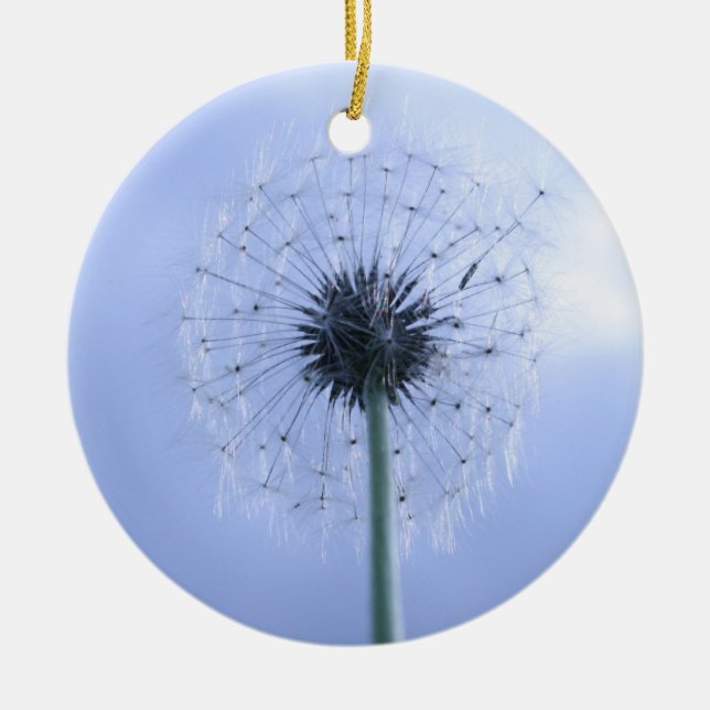 Ornement En Céramique Réaliser les voeux (Devant)