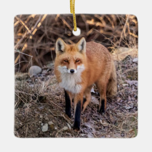 Ornement En Céramique Red Fox de près et personnel