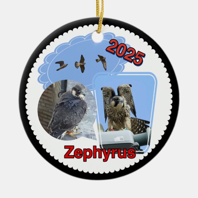 Ornement en céramique rond Zephyrus 2025 (Devant)