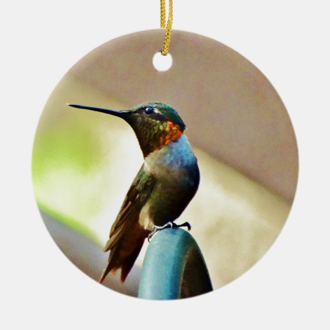 Ornement En Céramique Ruby perché et petit colibri vert (Devant)