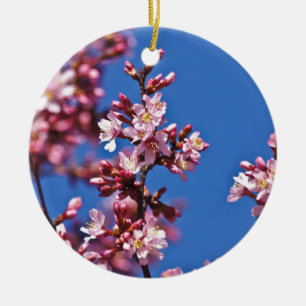 Ornement En Céramique Sakura Cerisiers en Fleur Touchant le Bleu